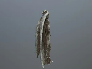 angel statue 3D Model