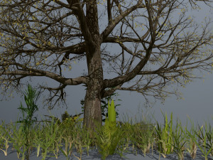 ruin set 3D Model