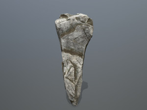 rocks 3D Модель