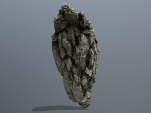 rocks 3D Model