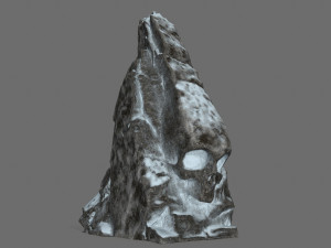 Skull rock 3D 模型