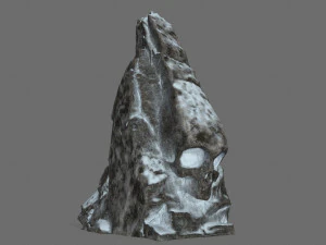 Skull rock 3D Model