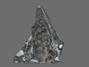 Skull rock 3D 模型