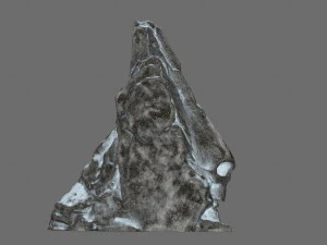 Skull rock 3D Model