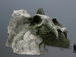 Puerta del cr&aacute;neo Modelo 3D