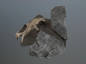 Skullgate 3D Model