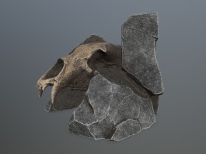 Skullgate Model 3D