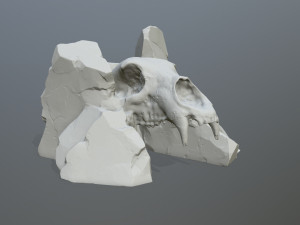 Skull gate 3D Print Model