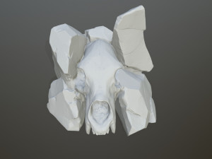 Skull gate 3D Print Model