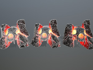 Lava skull gate 3D 모델