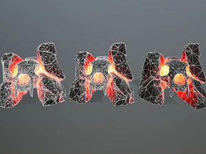 Lava skull gate 3D Model