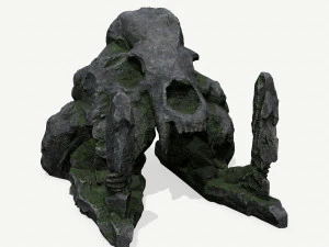 Скеля черепа 3D Модель