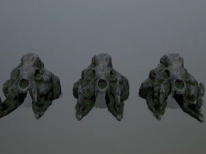 Skull Rock Model 3D