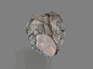 Desert rocks 3D 모델
