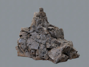Desert rocks Model 3D