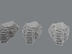 Temple 3D Model