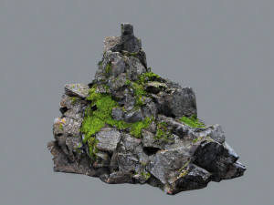 Forest rocks 3D मॉडल