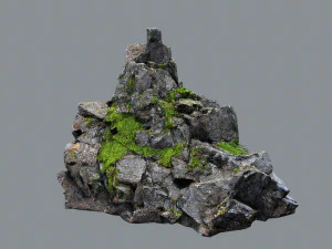 Forest rocks 3D Model