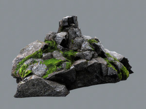 Forest rocks 3D मॉडल