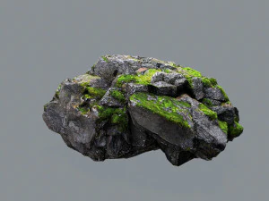 Forest rocks 3D Model