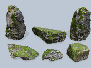 Forest rocks 3D Model