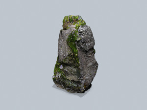 Forest rocks Model 3D