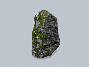 Forest rocks Model 3D