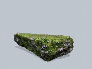 Forest rocks Model 3D