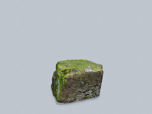 Forest rocks Model 3D
