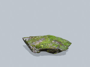 Forest rocks Model 3D