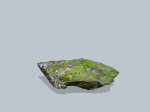 Forest rocks 3D Model