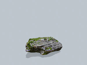 Forest rocks 3D Model