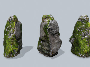 Forest rocks Model 3D