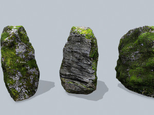 Forest rocks Model 3D