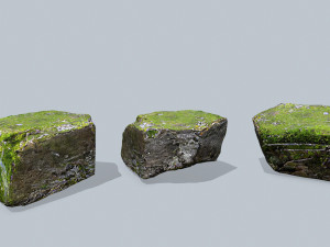 Forest rocks Model 3D