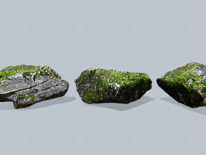 Forest rocks 3D Model