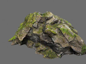 Forest rocks 3D Model