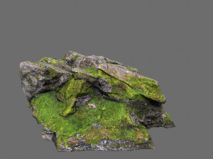 Forest rocks 3D Модель