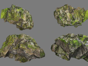 Forest rocks 3D Model