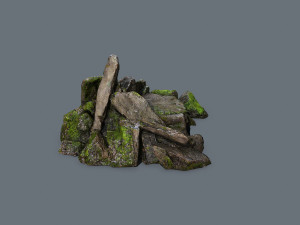 Forest rocks 3D Model