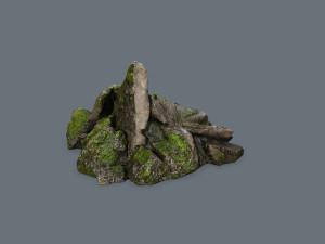 Forest rocks 3D Model