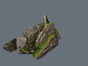 Forest rocks 3D Model