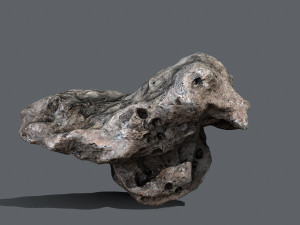 Asteroid set Model 3D