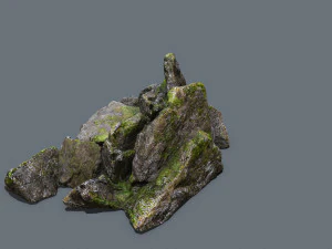 Forest rocks 3D Model