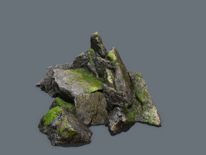 Forest rocks Modelo 3D