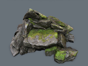 Forest rocks Modelo 3D