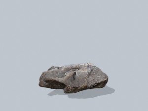 Rocks 3D 模型