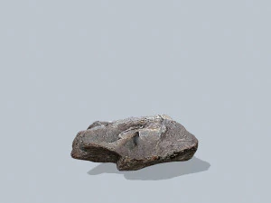 Rocks 3D Model