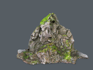 Mountain face Modèle 3D