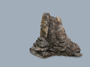 Cliff rocks Model 3D